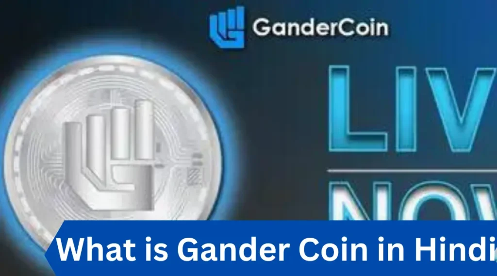 What is Gander Coin in Hindi