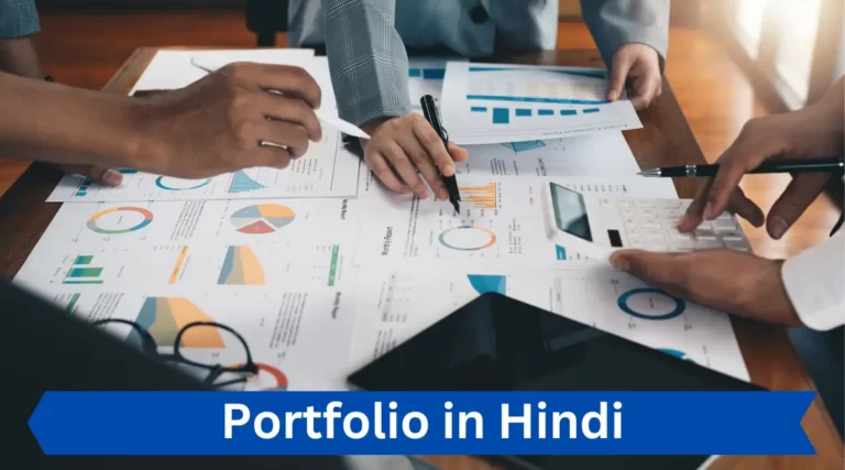 Portfolio Meaning in Hindi: पोर्टफोलियो क्या होता है?